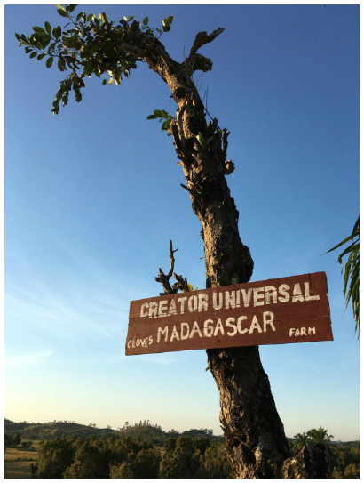 Madagascar