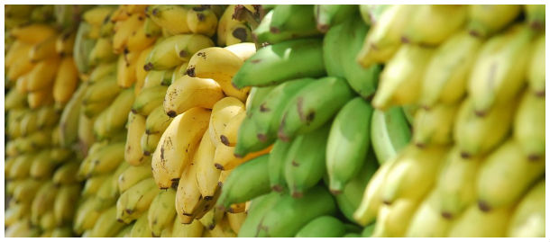 Bananas